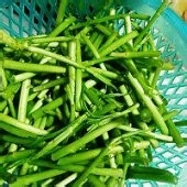 藜蒿炒腊肠的做法