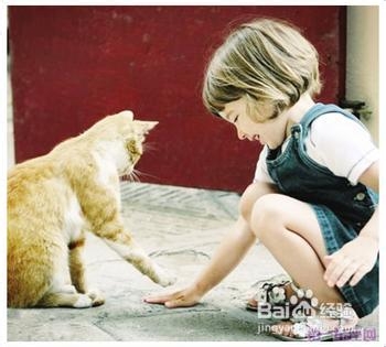 怎样才能教好孩子：[2]什么是“教育”