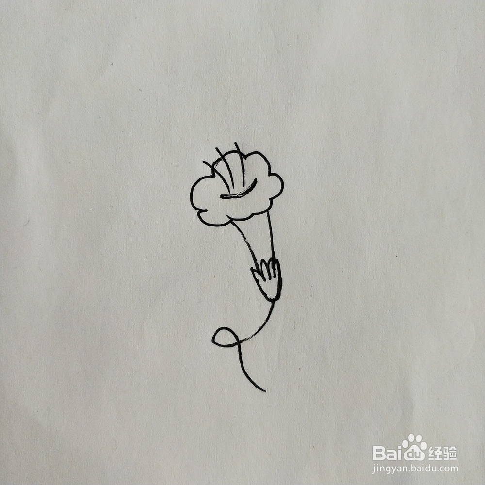手掌简笔画素材：花卉类的简笔画系列