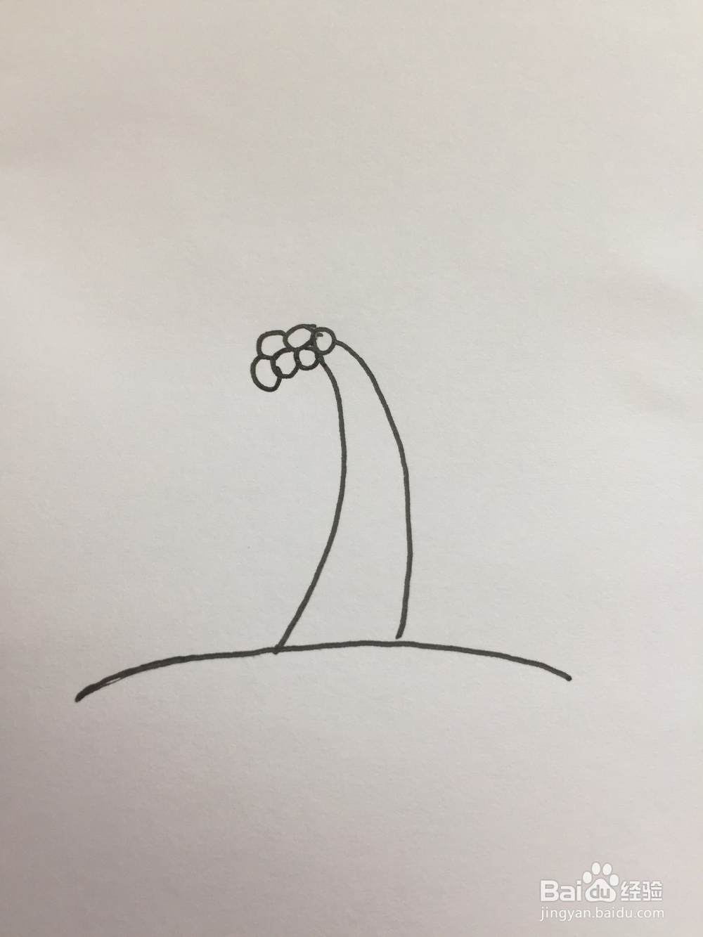 椰子树的简笔画