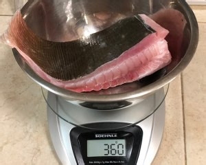 怎么做啫啫鱼煲
