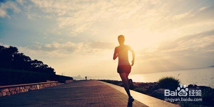 精细化运营+1688分销模式小白教程！