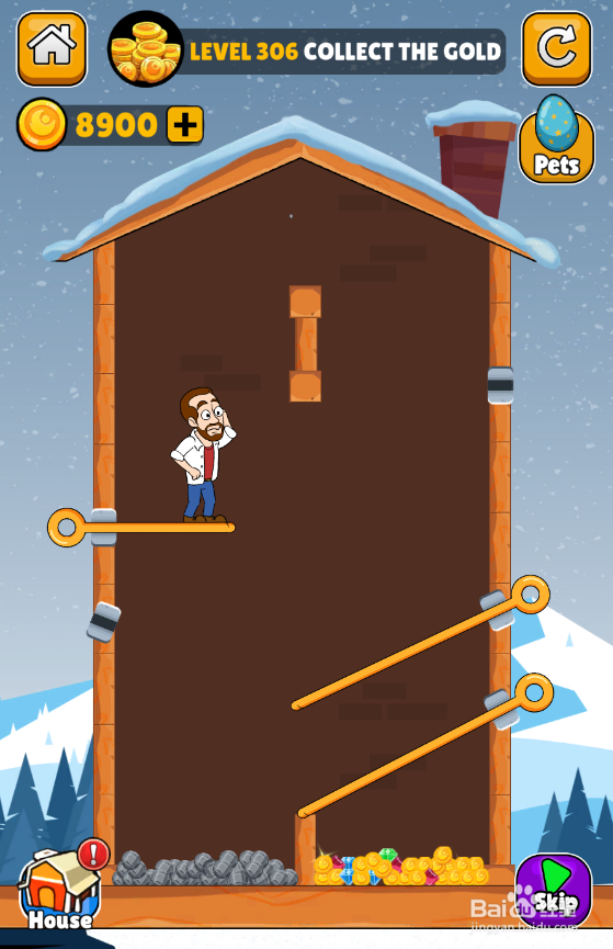 Home Pin的LEVEL 306如何通关?