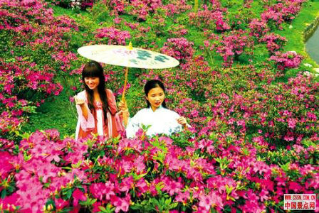 广东省内及周边景区“玩点”大比拼