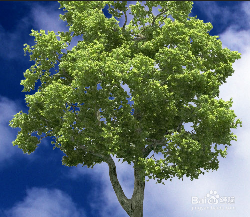 PS怎样换图像的白色背景