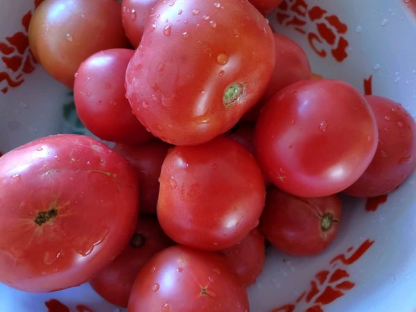 贵州风味番茄辣酱