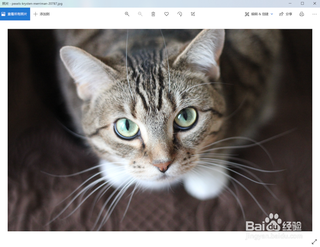 如何将PS设置为 Win10系统图像默认打开方式？
