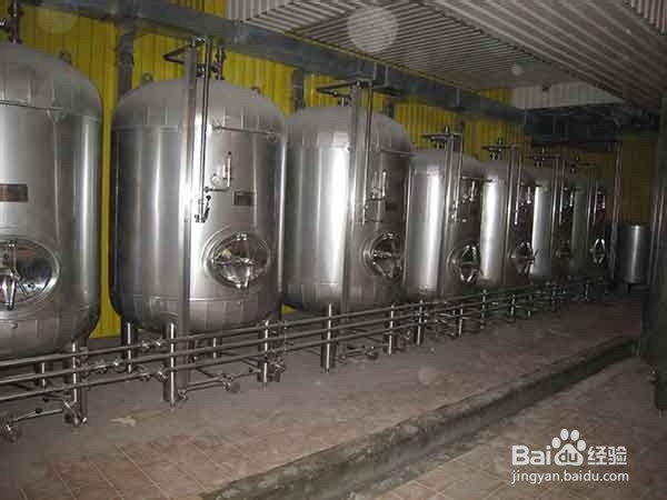 药桑果乳杆菌发酵饮料配方技术的研发