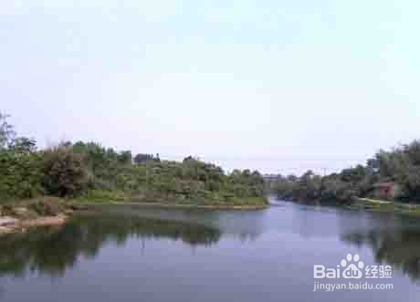 水库钓鱼打窝方法