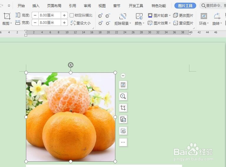 word中如何调整图片大小?