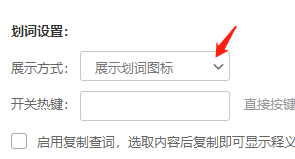 Win版有道词典如何直接展示划词结果