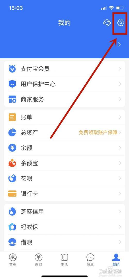 支付宝皮肤在哪里抢