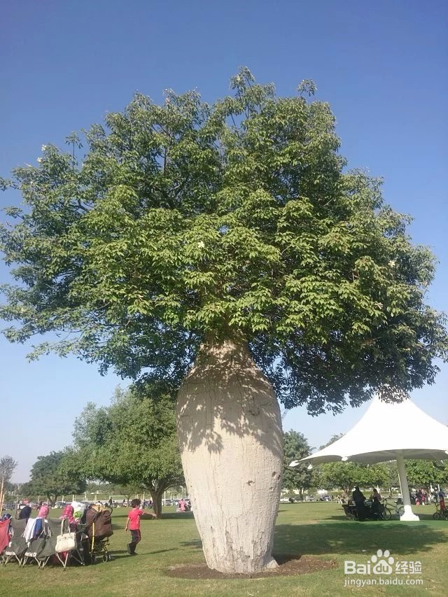 桥梁工程施工形象