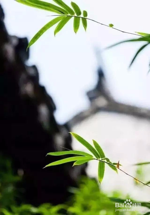 教你如何学习对焦,让你图片不在毁掉