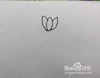 怎么画荷花的简笔画