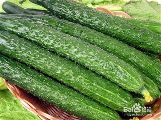 夏天选择吃什么蔬菜好