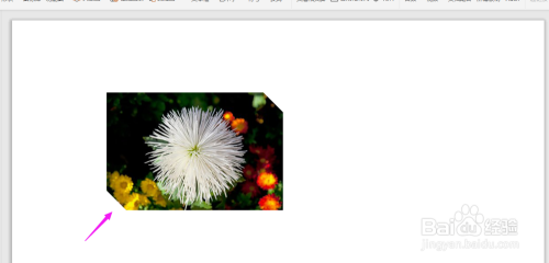 WPS2019中PPT如何给图片换形状?
