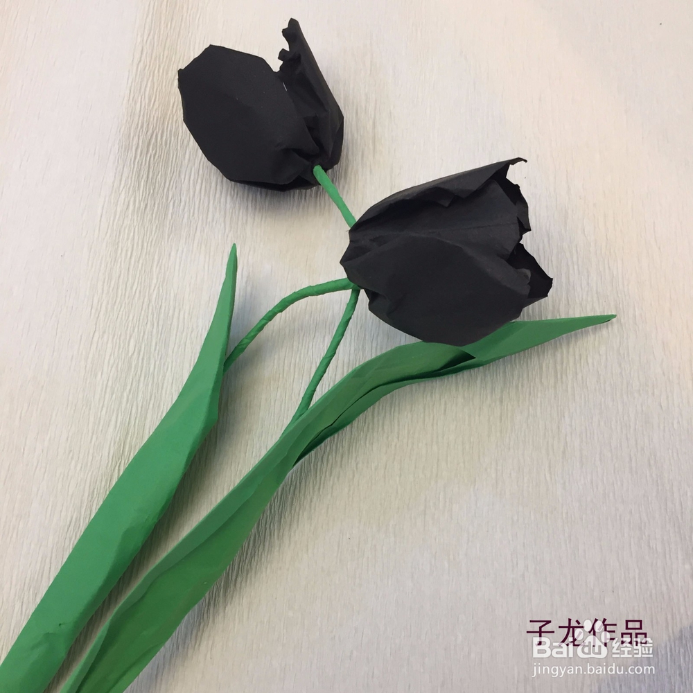 郁金香叶子的折法