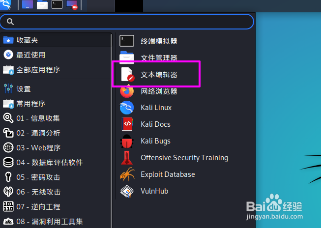 Kali文本编辑器怎么始终显示标签