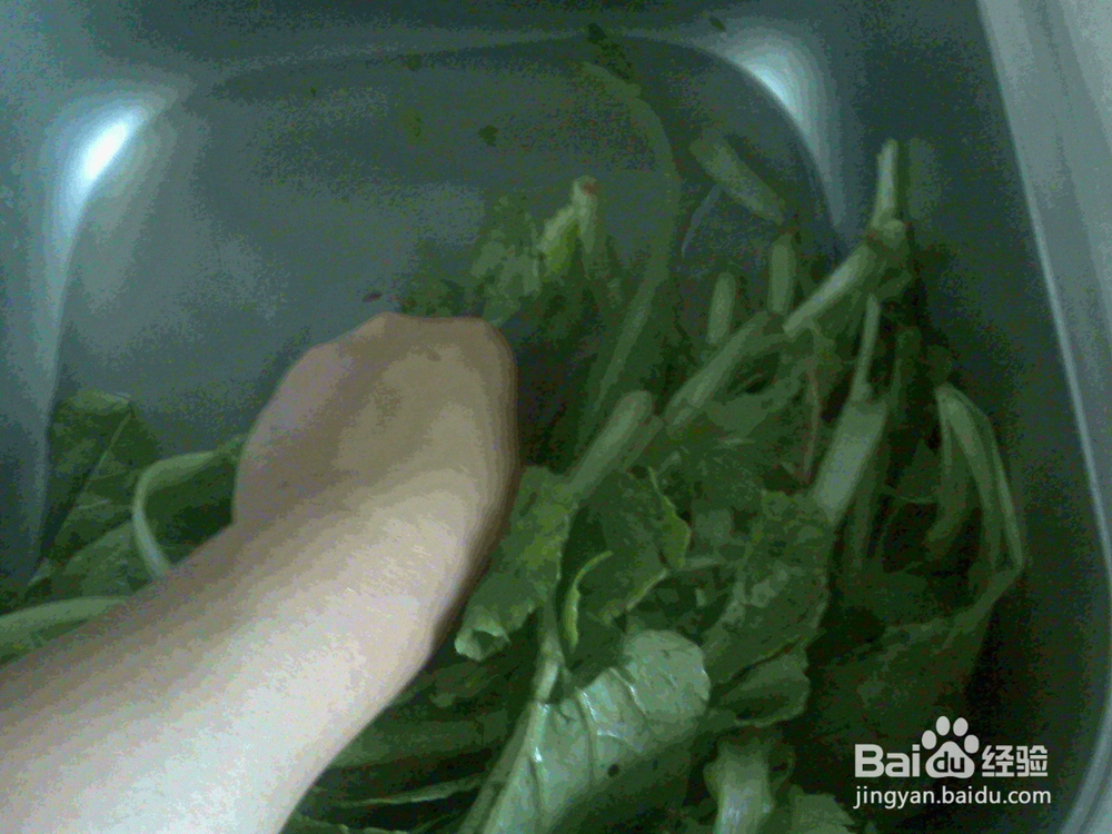 #美食#老年人怎样用淘米水泡洗小萝卜菜