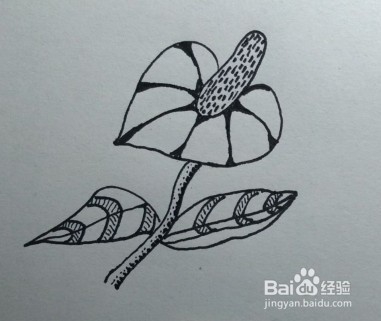 简笔画：花卉画法教程