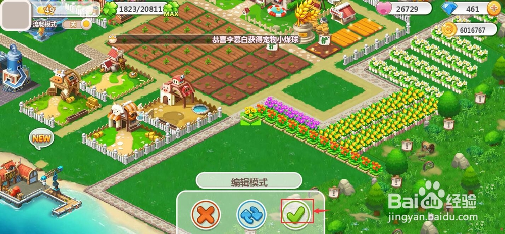 怎样购买植物向日葵？