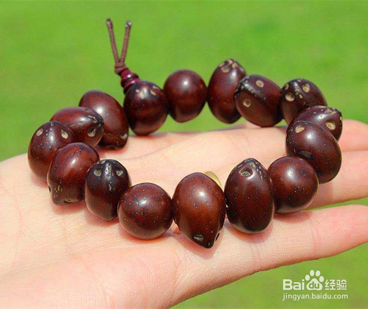 怎样挑选菩提手串？