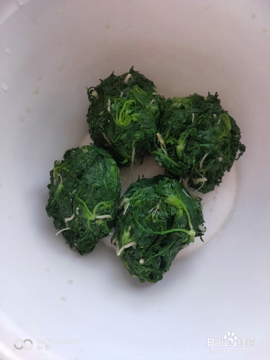 香香脆脆的猪肉荠菜饺子