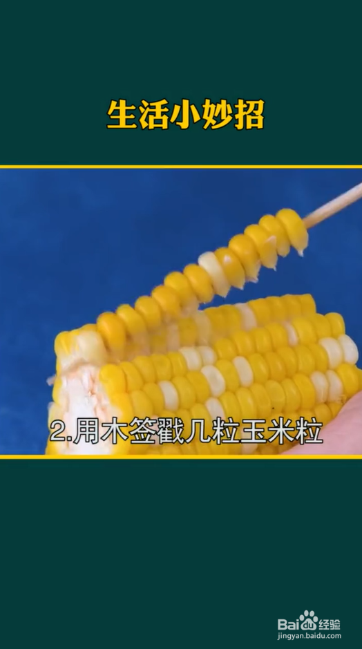 生活小妙招之种植小妙招