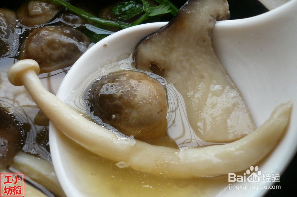 零厨艺之杂菇煲