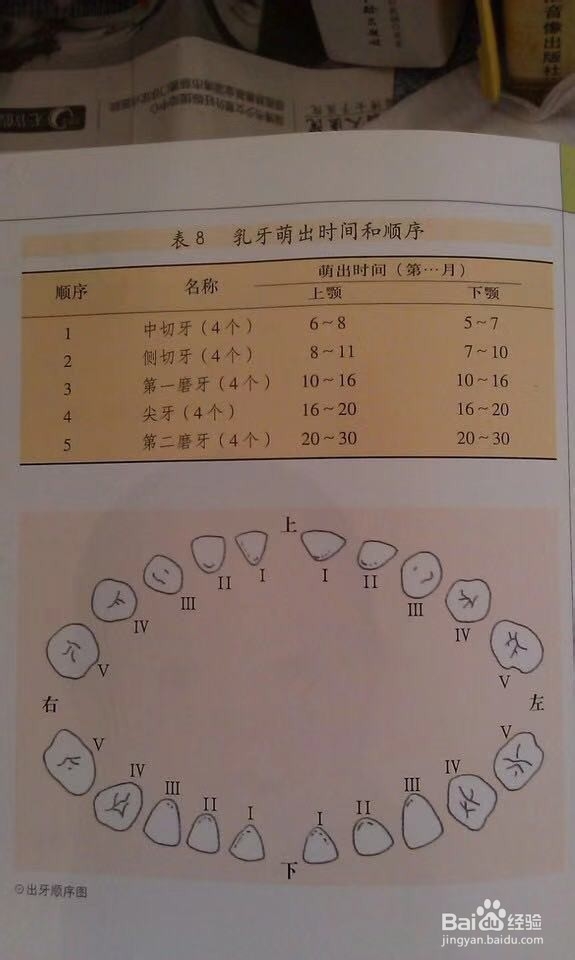 宝宝长牙的顺序