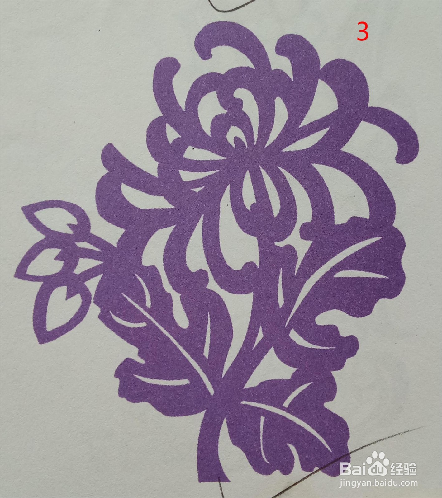 剪纸：“秋菊”的剪纸步骤