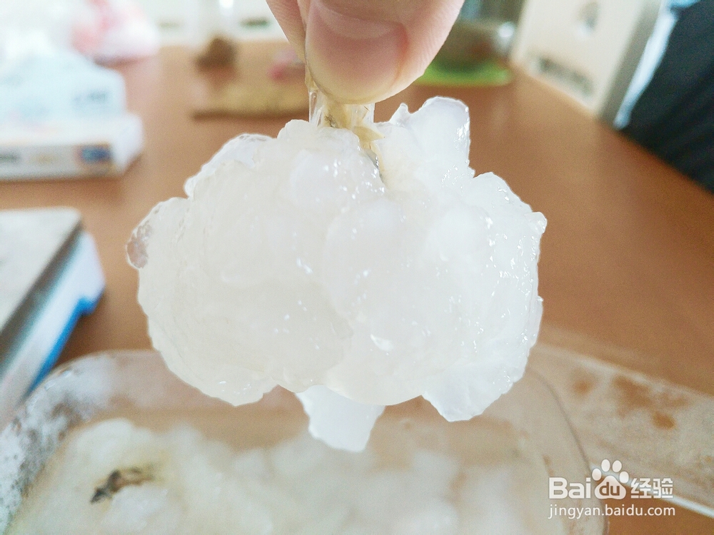 简单好吃的雪蛤