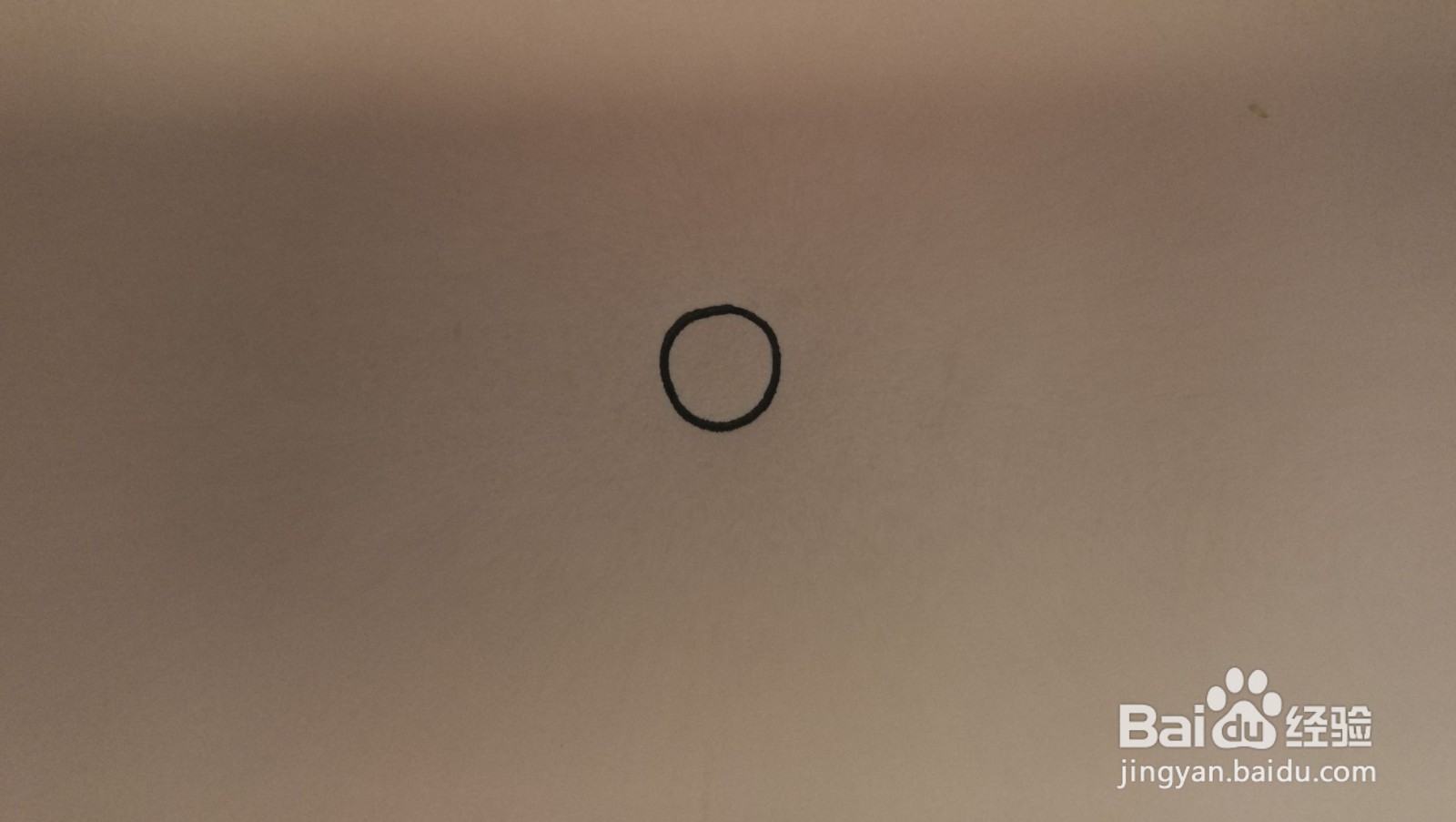 #经验分享官#花朵和叶子简笔画