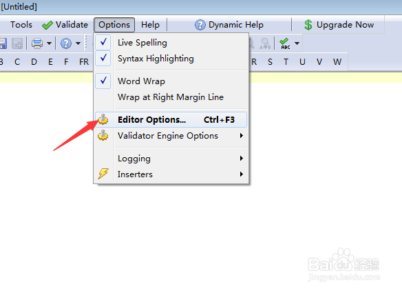 CSE Validator v14.0怎么设置打开时验证文档