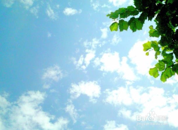 你知道入伏后“冬病夏治”该怎么做吗?