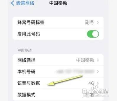 苹果13怎么才能开启5G模式