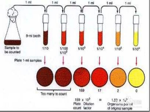 稀释倍数怎么算-百度经验