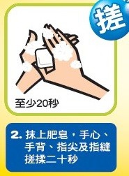 正确洗手的步骤图片