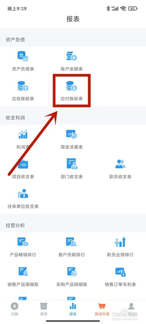应付账龄表如何在《账王记账》app中查看？