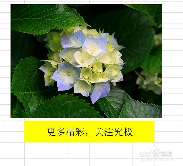 excel中的剪切画