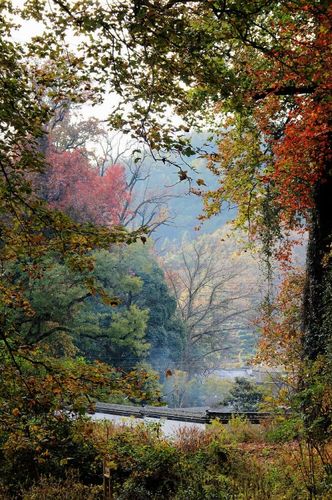 婺源秋季旅游线路及旅游攻略推荐