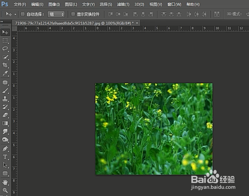 如何用PhotoShop对图片进行去色