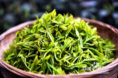 春茶上市了，该如何选春茶？