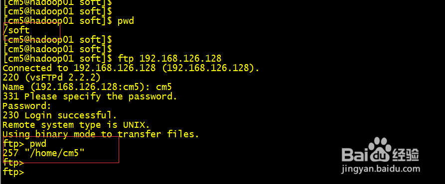 linux之ftp命令详解