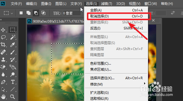 ps2019怎么取消选区，取消选区快捷键﻿怎么用