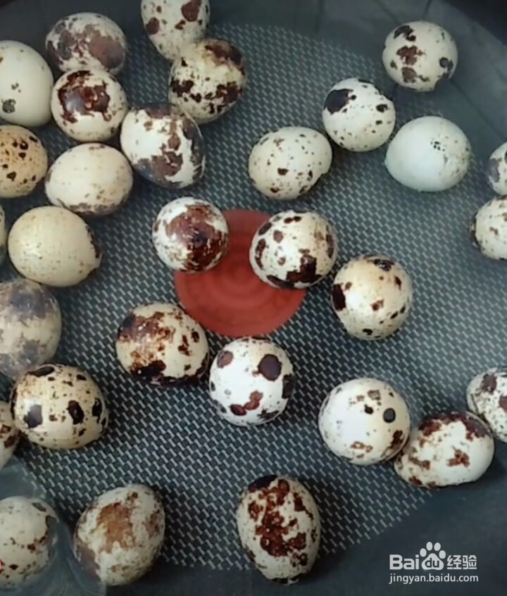 鹌鹑蛋丸子的做法