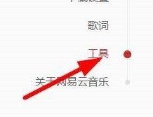 网易云如何设置为自定义代理