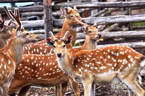 6处新建国家级自然保护区