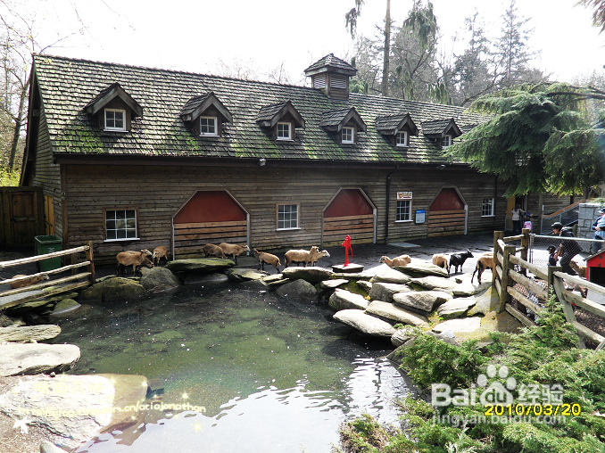 拾海的孩子&亲亲小动物(组图)